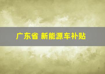 广东省 新能源车补贴